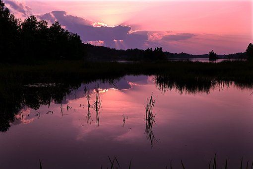 the sky is pink and purple as the sun sets over a lake with trees in it