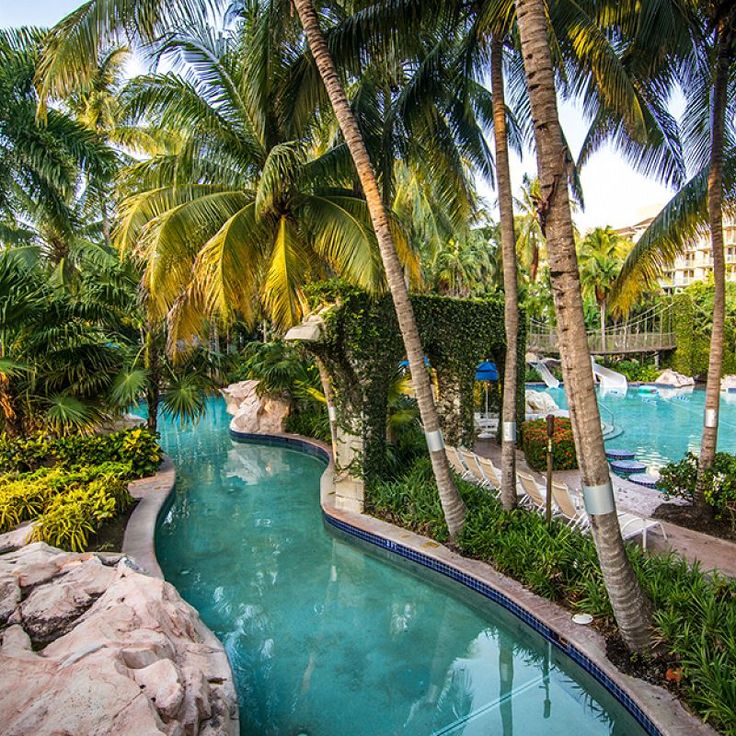 an outdoor swimming pool surrounded by palm trees