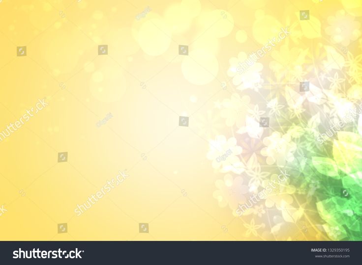 an abstract floral background with blurry lights