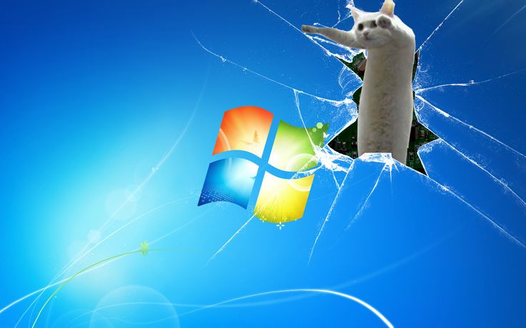 a white cat is flying through the air next to a broken windows screen with a blue sky in the background