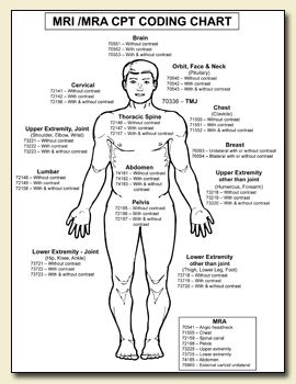 Cervical Mri Cpt Code Medical Coding Cheat Sheet, Medical Coding Humor, Medical Coding Classes, Icd 10 Coding, Medical Terminology Study, Cpt Codes, Coding Humor, Coding Jobs, Medical Coder