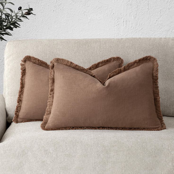 two pillows sitting on top of a couch