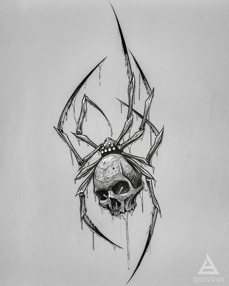 a drawing of a spider with a skull on it's back