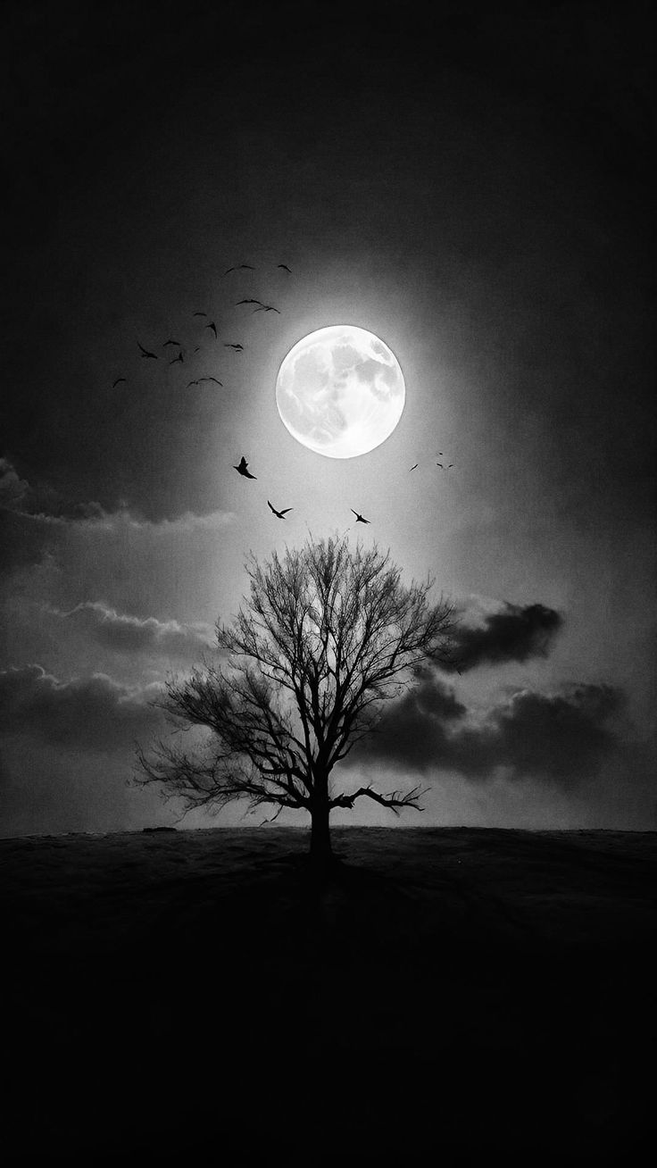 a black and white photo of a tree with the moon in the background