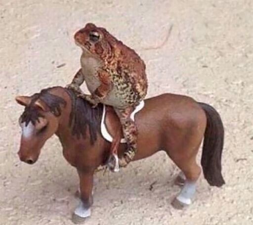 a frog sitting on the back of a toy horse with a toad perched on it's head