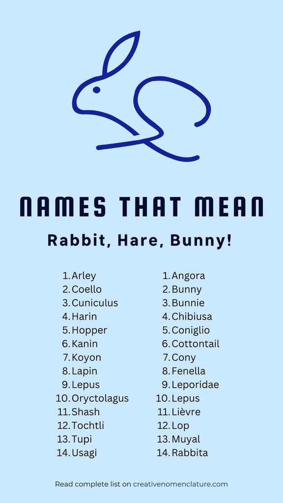 the names that mean rabbit, hare, bunny