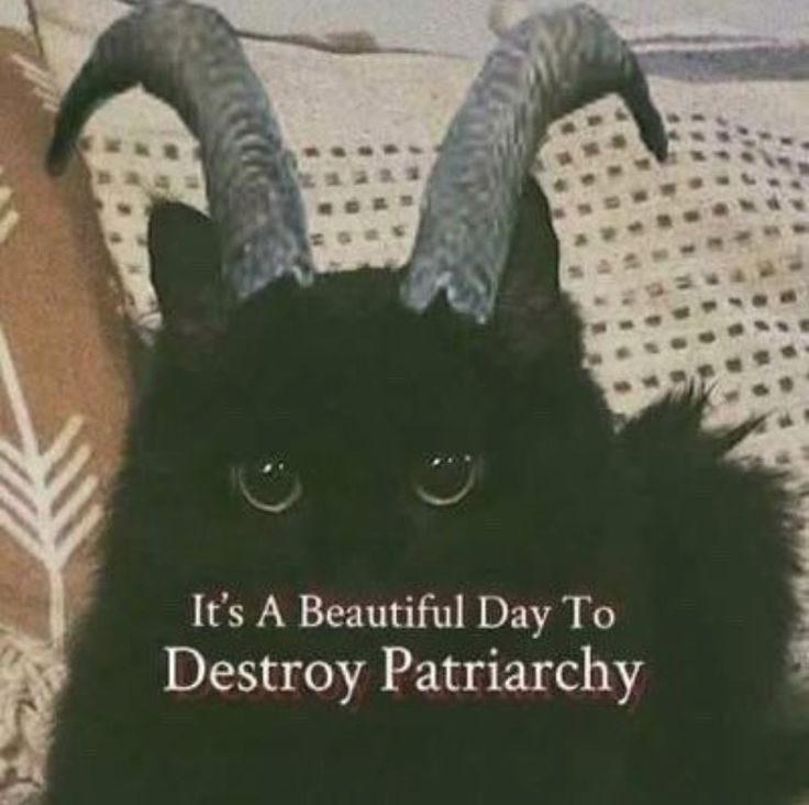 there is a black cat with horns on it's head and the words, it's a beautiful day to destroy patriachy