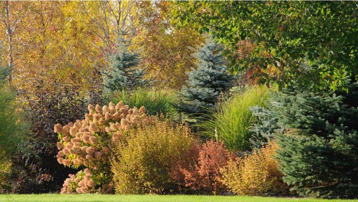 trees and shrubs are in the foreground with green grass