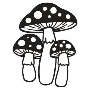 three black and white mushrooms on a white background with the words,'i am not sure