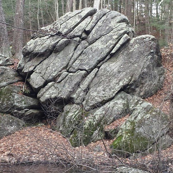 a large rock sitting in the middle of a forest