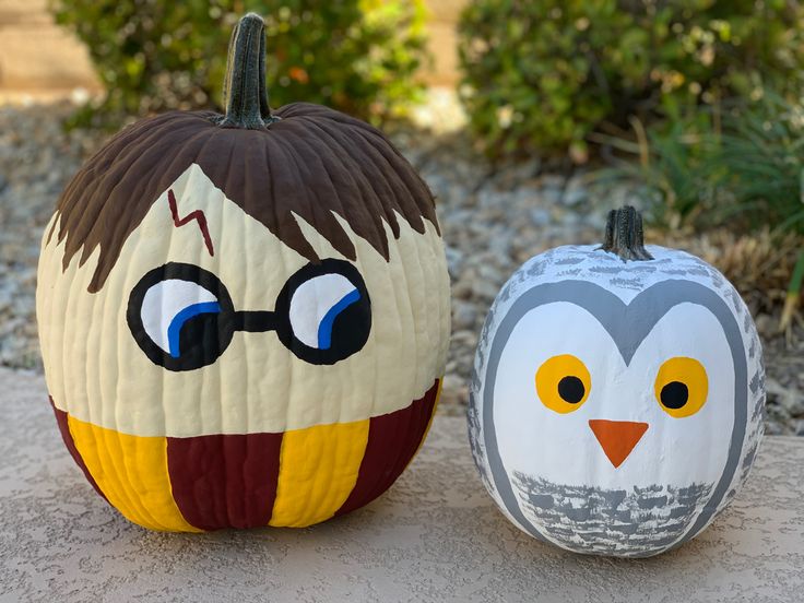 Halloween Painted Pumpkins- Harry Potter & Hedwig Hedwig Pumpkin, Harry Potter Pumpkin Carving, Animal Pumpkin, Cute Painted Pumpkin Ideas, Book Character Pumpkins, Harry Potter Pumpkin, Pumpkin Painting Party, Cool Animals, Halloween Pumpkin Crafts