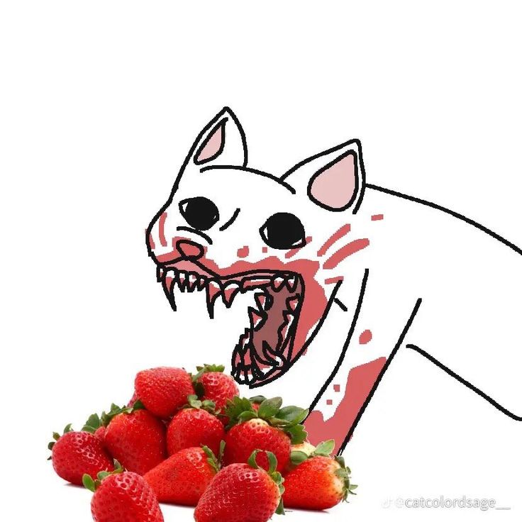 a drawing of a cat with its mouth open next to strawberries