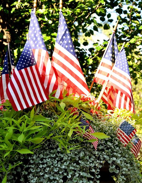 an assortment of american flags on display in a potted planter with greenery