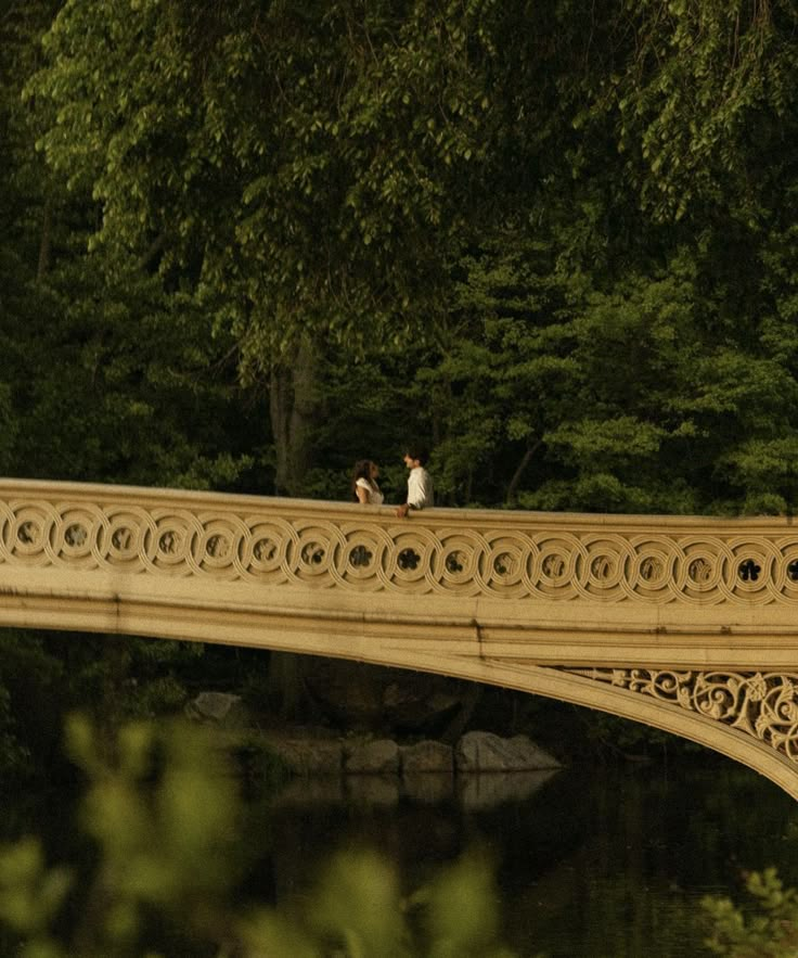 two people walking across a bridge over water