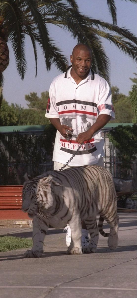 a man walking a white tiger on a leash in front of palm trees and buildings