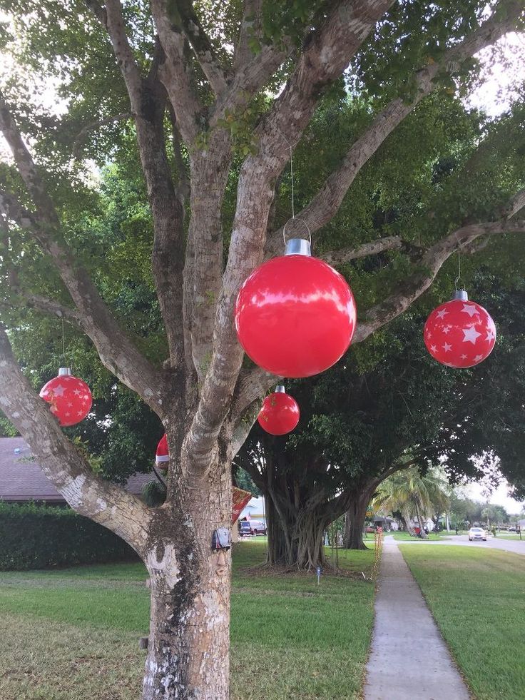 a tree with red ornaments hanging from it