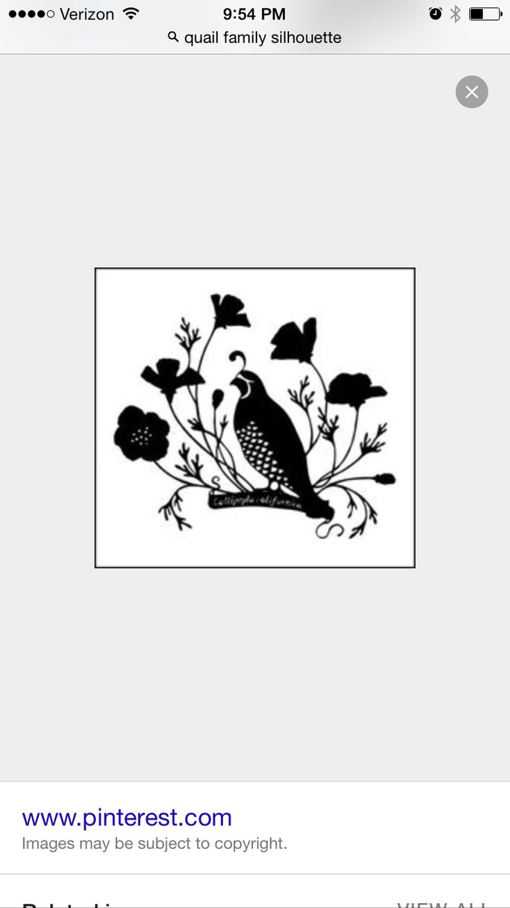 an image of a bird with flowers on it