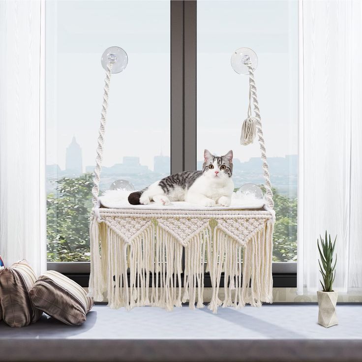 a cat laying in a hammock on a window sill