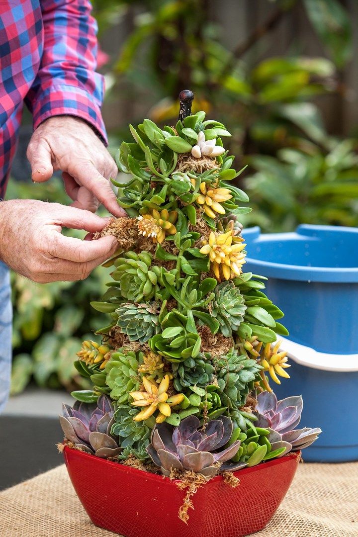 a man is placing plants in a potted planter