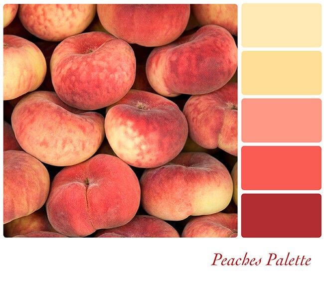 peaches are stacked up together in a color palette