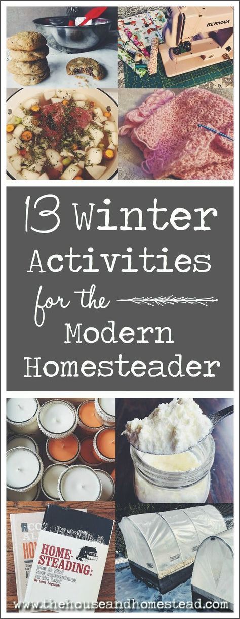 Homesteading Activities, Winter Homesteading, Modern Homesteading, Homesteading Diy, Homestead Farm, Homestead Gardens, Homesteading Skills, Homestead Living, Urban Homesteading