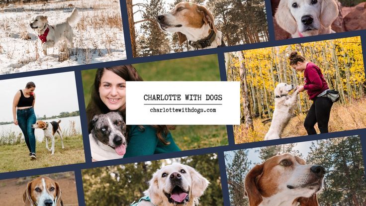 Charlotte With Dogs | Adventure, Dog Sports, Life With Dogs