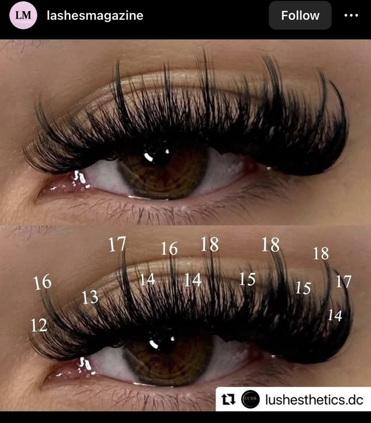 Lash Maps, Natural Fake Eyelashes, Best Lash Extensions, Lashes Fake Eyelashes, Lashes Tutorial, Wispy Eyelashes, Eyelash Tips, Eyelash Technician, Cat Eye Lash