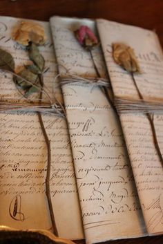 an open book with writing and dried flowers on it