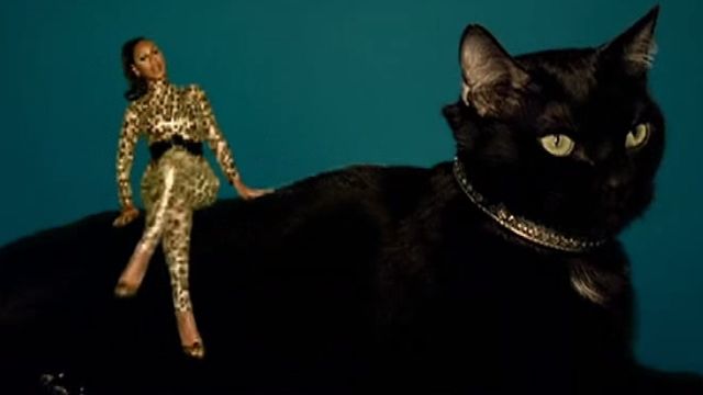 a black cat sitting next to a doll on top of a blue background with a gold dress