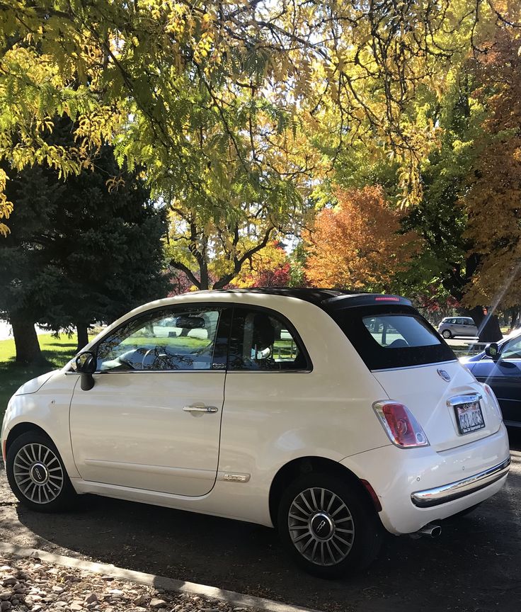 a small white car parked in a parking lot next to trees with leaves on them