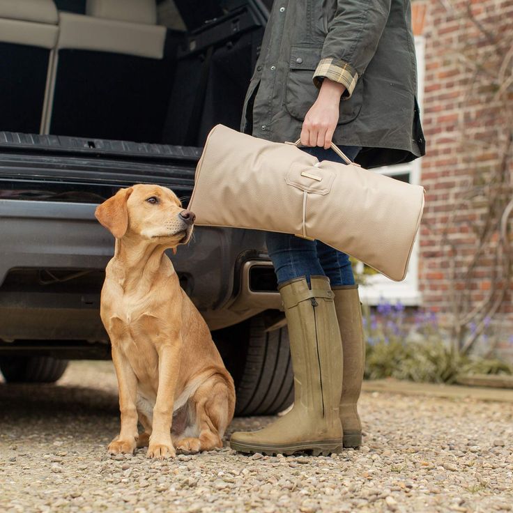 a woman standing next to a brown dog with a large bag in it's mouth