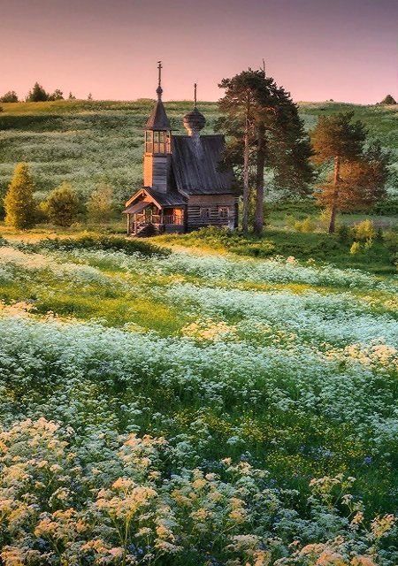 an old church sits in the middle of a field with wildflowers and trees