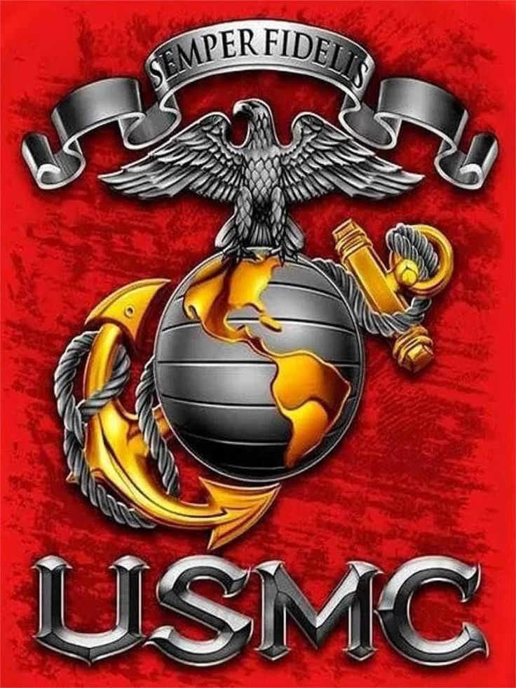 the usmc emblem with an eagle and globe on it's chest, as well as