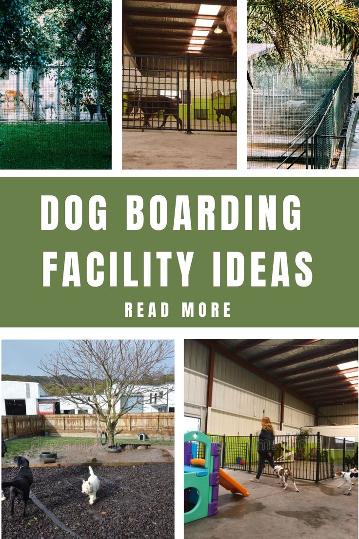 Dog Boarding Facility Ideas Cat Kennel Ideas, Dog Hotel Design, Dog Rescue Facility, Dog Hotel Ideas, Commercial Dog Kennel Ideas, Dog Boarding Facility Ideas, Dog Boarding Business, Dog Park Design, Dog Daycare Design