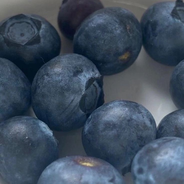 blueberries are in a white bowl on the table