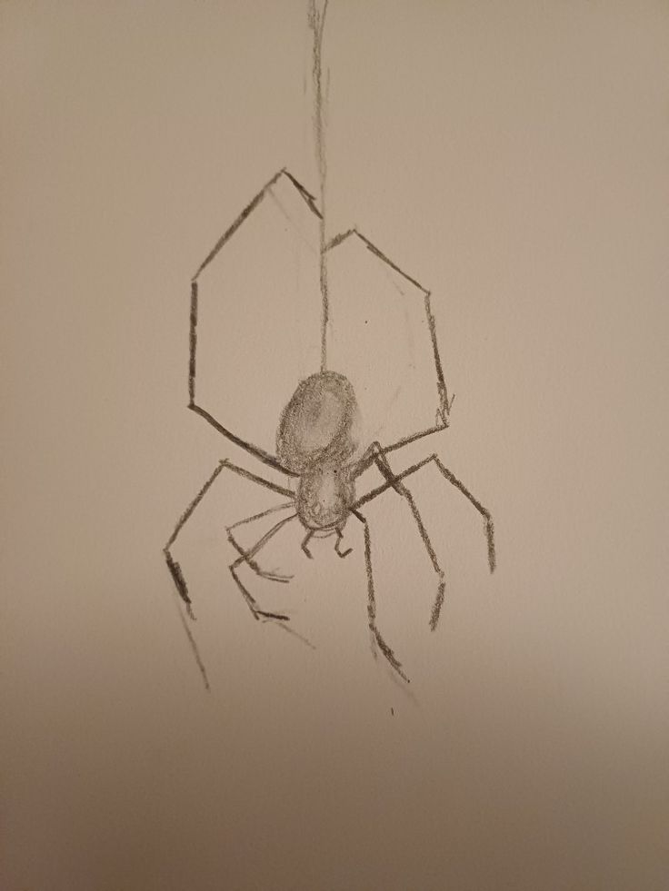 a drawing of a spider on a white wall