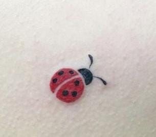 a ladybug painted on the side of a white sheet with black dots and red spots