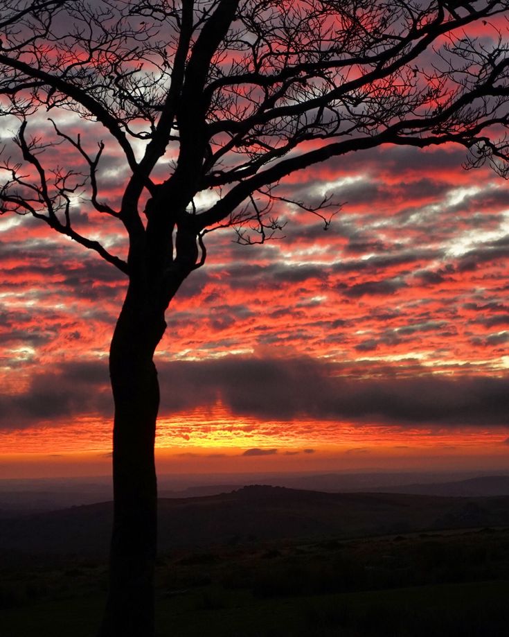 a lone tree is silhouetted against a colorful sunset in the distance, with clouds and hills behind it