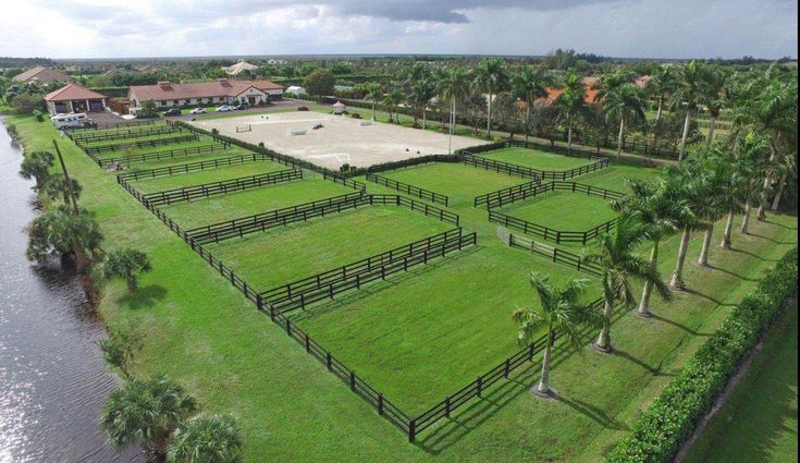 an aerial view of a horse farm in the middle of palm trees, water and houses