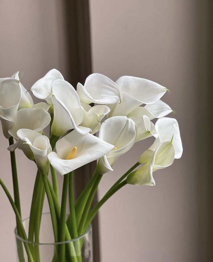 white flowers are in a glass vase on a table