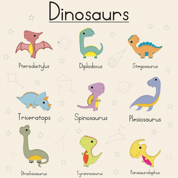 a poster with different types of dinosaurs on it's back and the words, dinosaurs