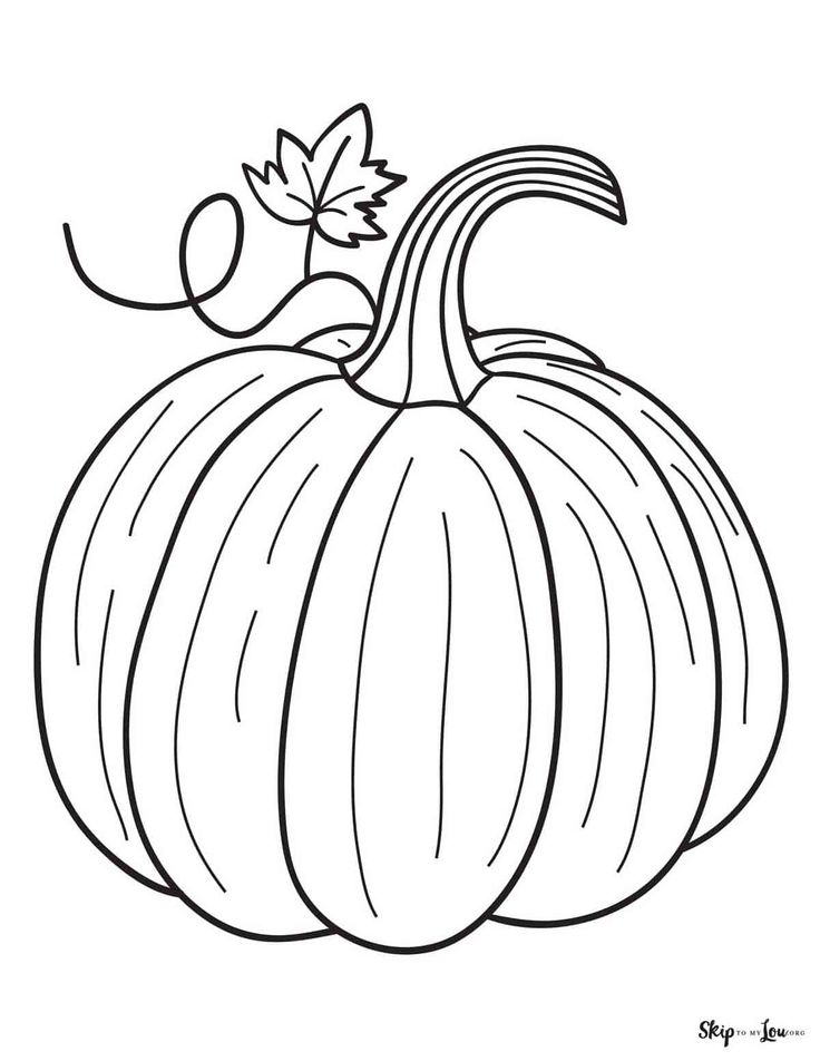 a black and white drawing of a pumpkin with leaves on it's top,