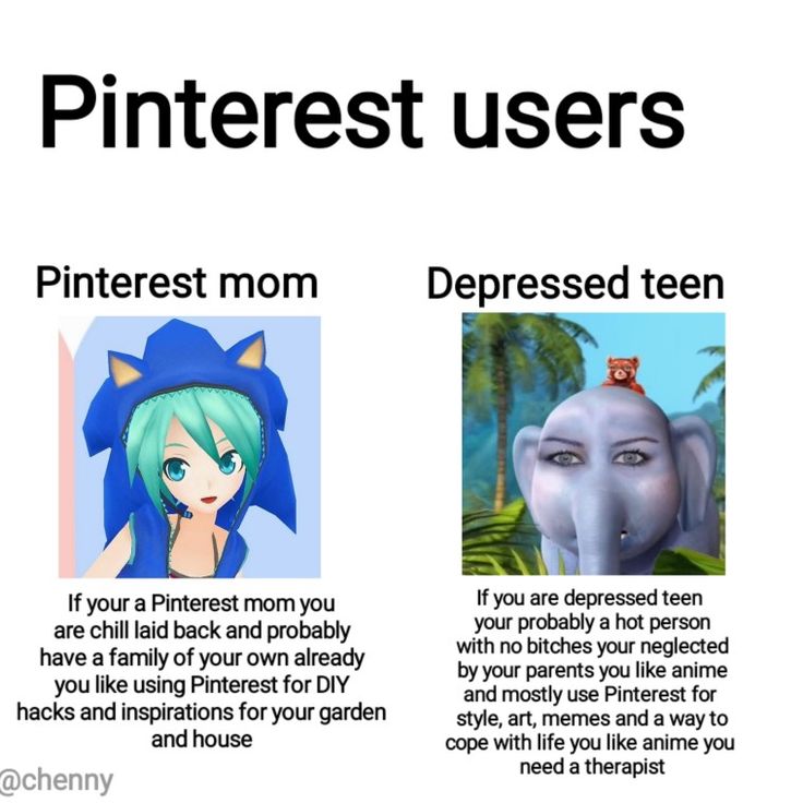 three different types of pinterest users are shown in this graphic above the caption