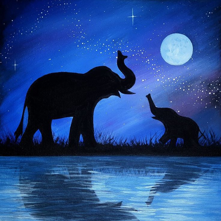 an elephant and its baby are silhouetted against the night sky with stars above water