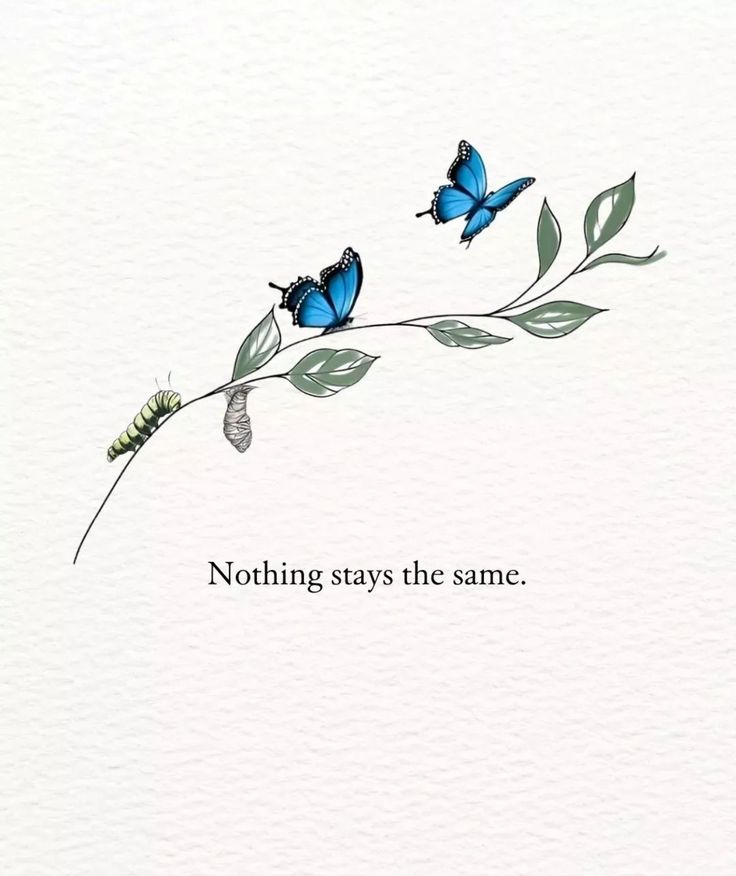 two blue butterflies sitting on top of a leafy branch with the words nothing stays the same