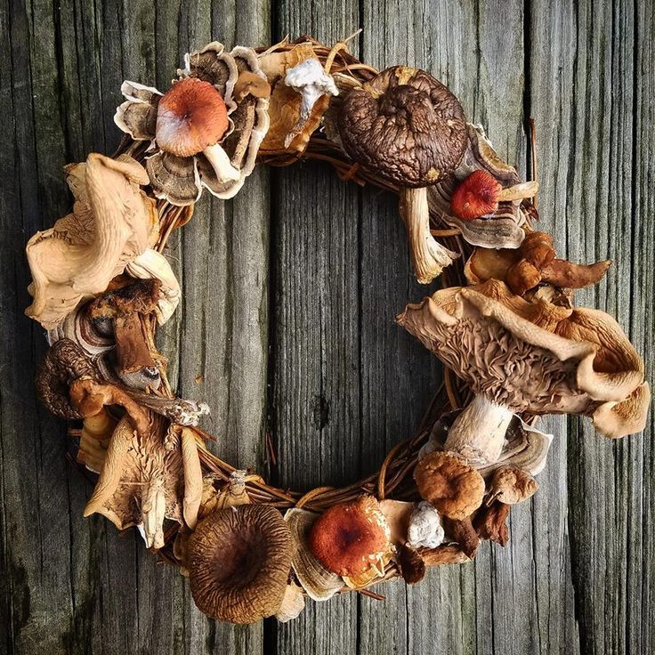 a wreath made out of dried mushrooms on a wooden surface