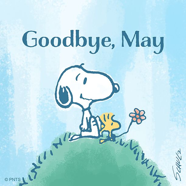 a book cover with a cartoon dog holding a flower in it's mouth and the title goodbye, may