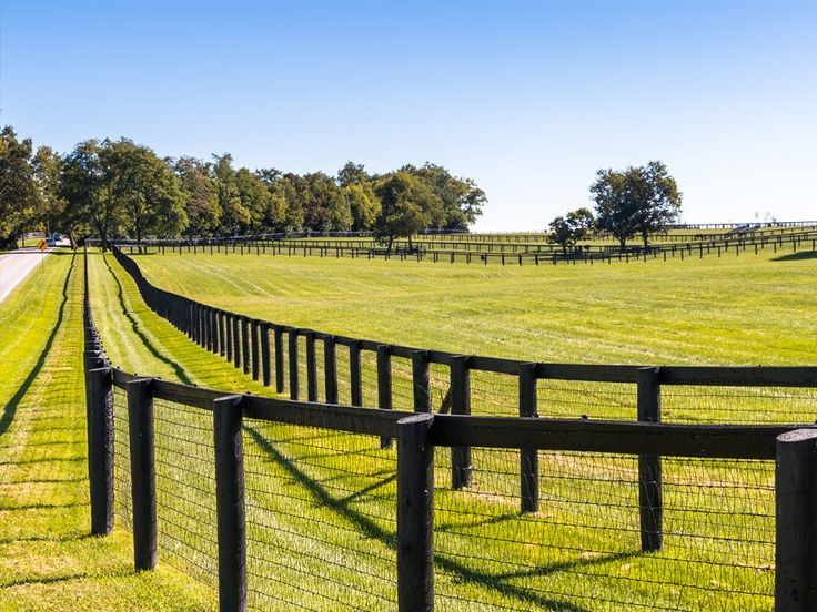 a fenced in area with grass and trees on the other side that is empty