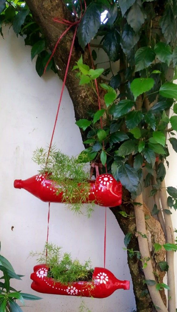 two red vases hanging from a tree with plants growing in them and attached to strings