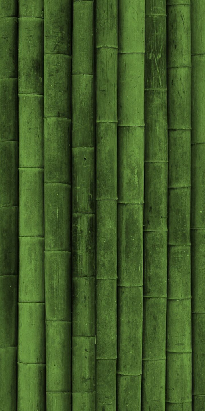 the wall is made up of green bamboo sticks